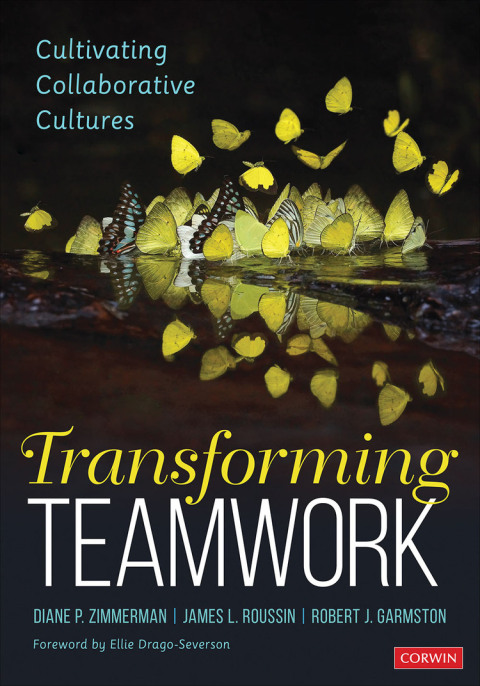 Cover image for book Transforming Teamwork