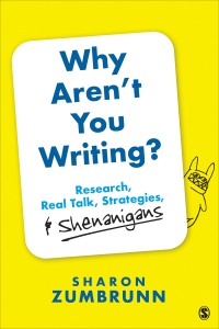 Cover image: Why Aren’t You Writing? 1st edition 9781544341156
