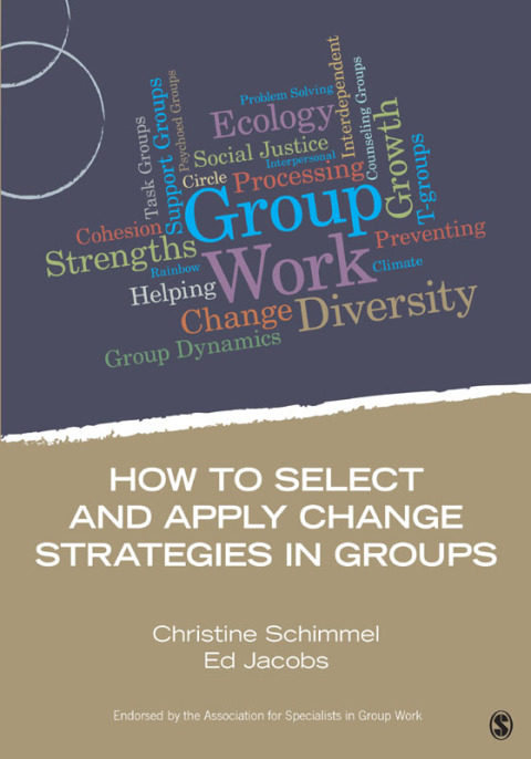 Cover image for book How to Select and Apply Change Strategies in Groups