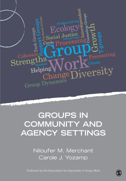 Cover image for book Groups in Community and Agency Settings