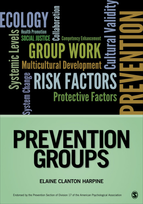 Cover image for book Prevention Groups