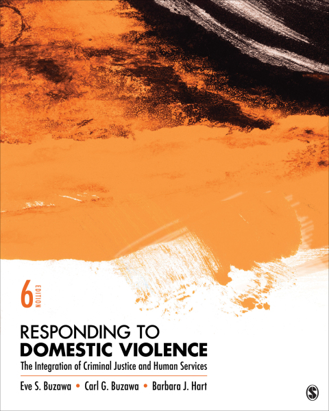 Cover image for book Responding to Domestic Violence