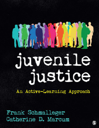 Cover image: Juvenile Justice: An Active-Learning Approach 1st edition 9781544300412