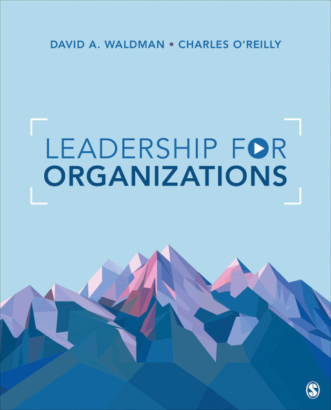 Cover image for book Leadership for Organizations