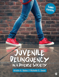 Cover image: Juvenile Delinquency in a Diverse Society 3rd edition 9781544375434