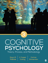 cognitive psychology literature review