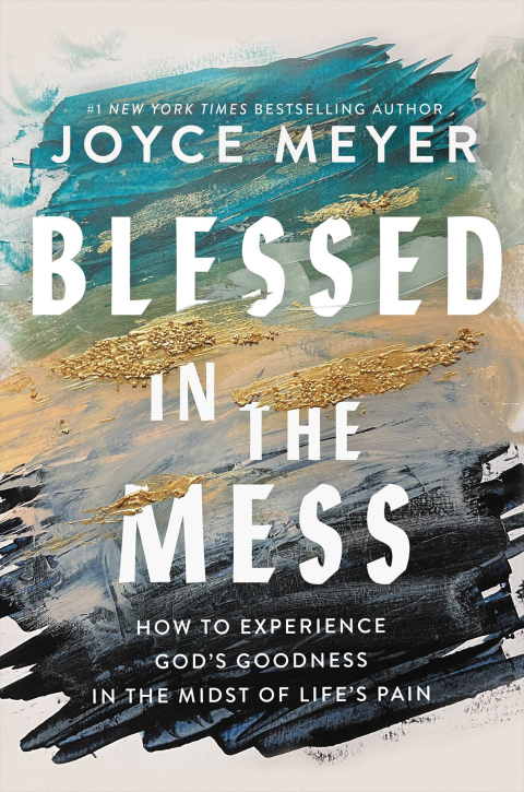 Cover image for book Blessed in the Mess