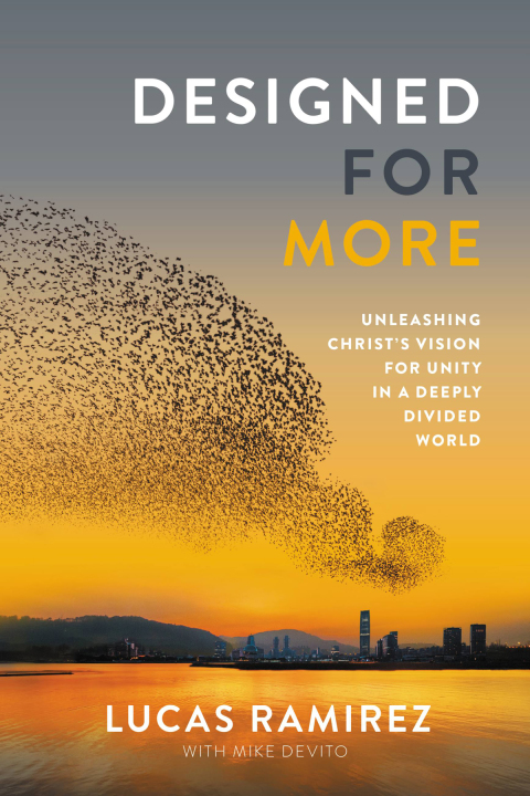 Cover image for book Designed for More