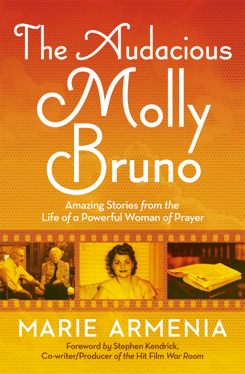 Cover image for book The Audacious Molly Bruno