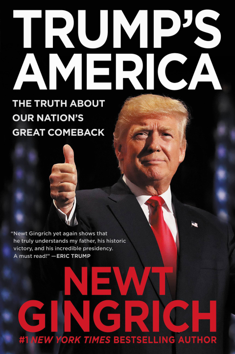 Cover image for book Trump's America