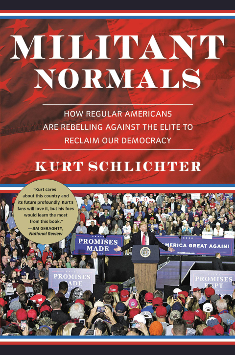 Cover image for book Militant Normals