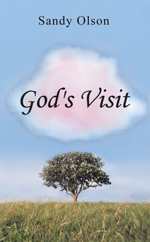 Cover image for book God’s Visit