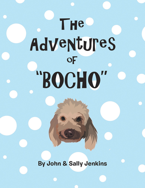 Cover image for book The Adventures of Bocho