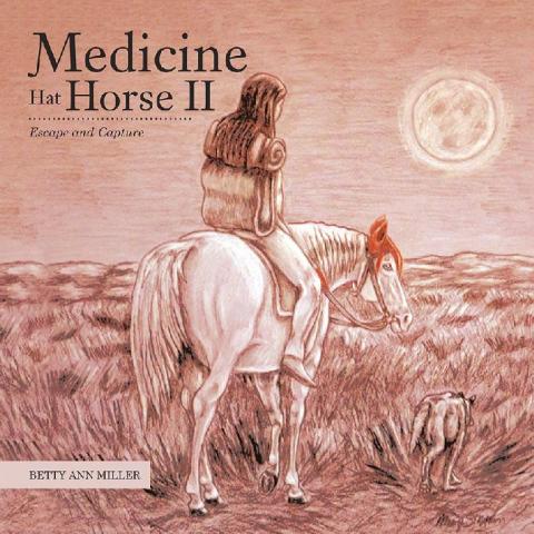 Cover image for book Medicine Hat Horse Ii