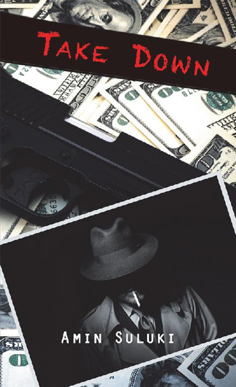 Cover image for book Take Down