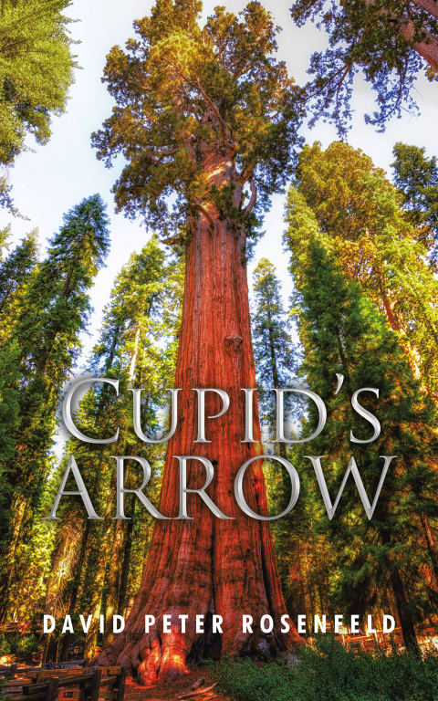 Cover image for book Cupid’s Arrow