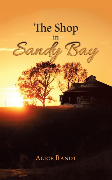 Cover image for book The Shop in Sandy Bay