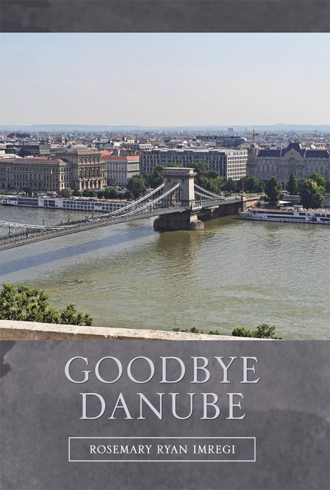 Cover image for book Goodbye Danube