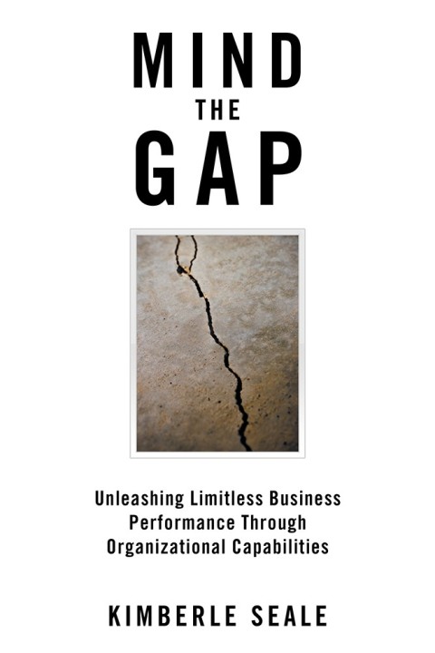 Cover image for book Mind the Gap