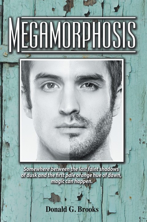 Cover image for book Megamorphosis