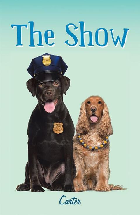 Cover image for book The Show