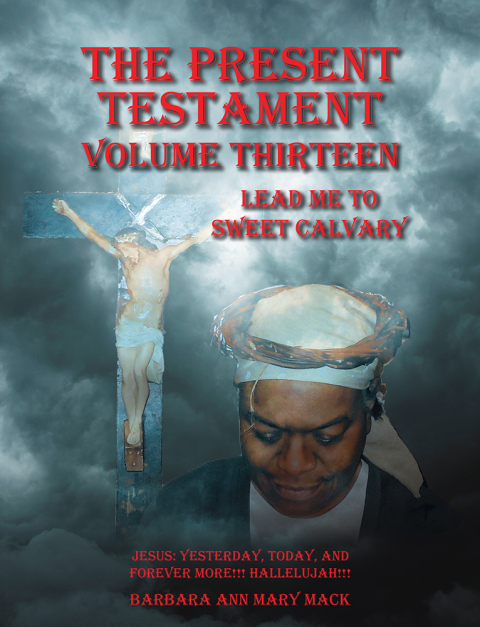 Cover image for book The Present Testament Volume Thirteen