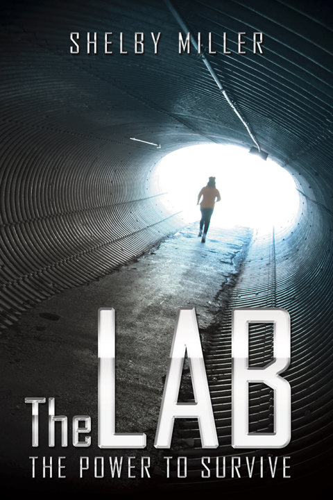 Cover image for book The Lab