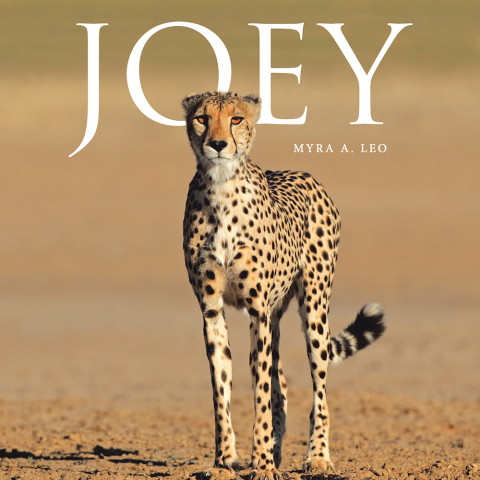 Cover image for book Joey