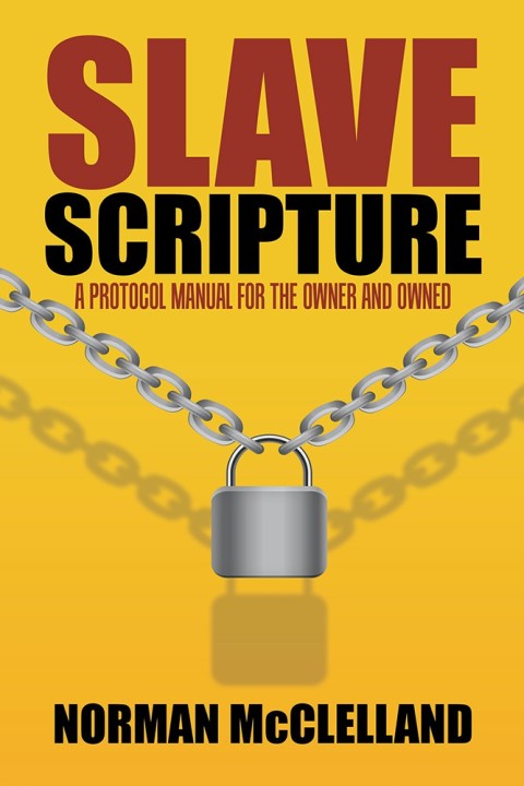 Cover image for book Slave Scripture