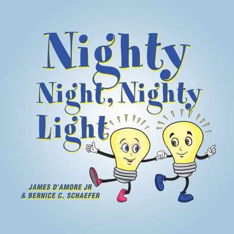 Cover image for book Nighty Night, Nighty Light