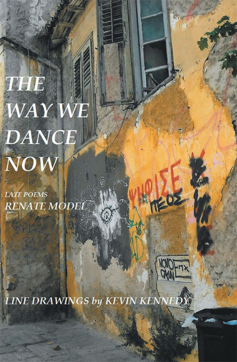 Cover image for book The Way We Dance Now