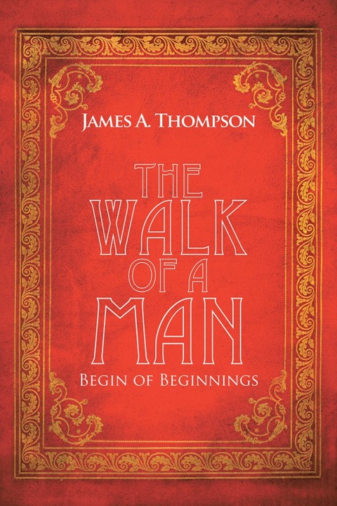 Cover image for book The Walk of a Man