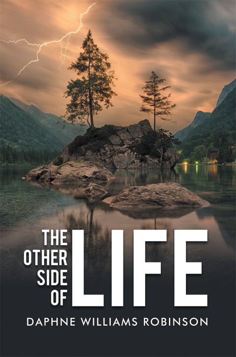 Cover image for book The Other Side of Life