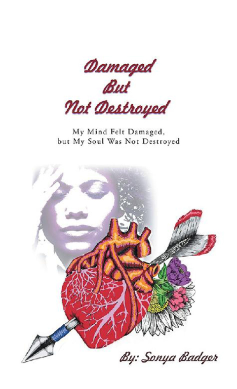 Cover image for book Damaged but Not Destroyed