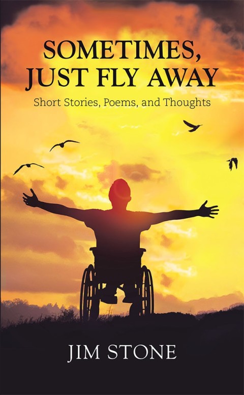 Cover image for book Sometimes, Just Fly Away
