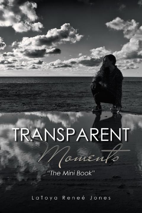 Cover image for book Transparent Moments