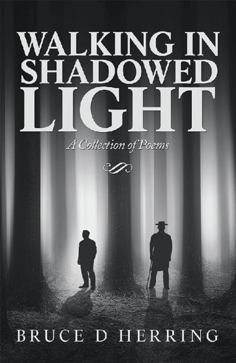 Cover image for book Walking in Shadowed Light