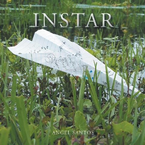 Cover image for book Instar