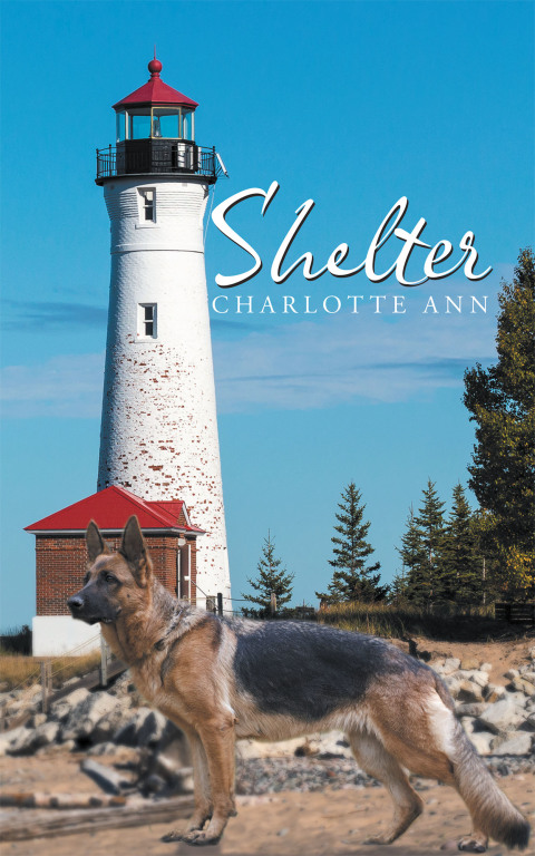 Cover image for book Shelter