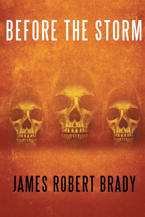 Cover image for book Before the Storm