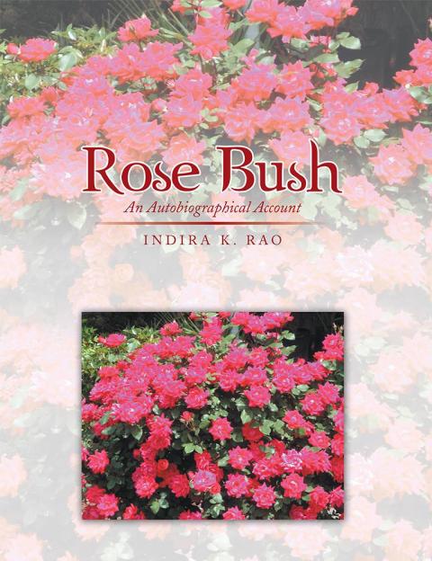 Cover image for book Rose Bush