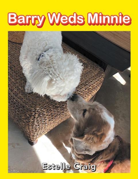 Cover image for book Barry Weds Minnie