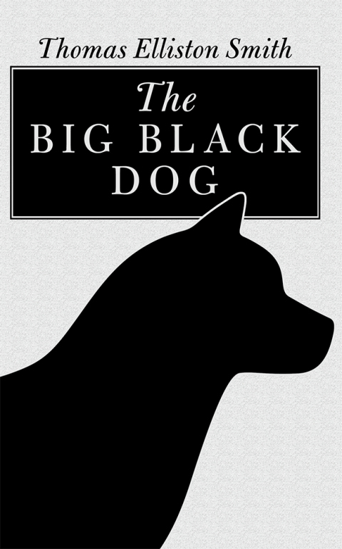 Cover image for book The Big Black Dog