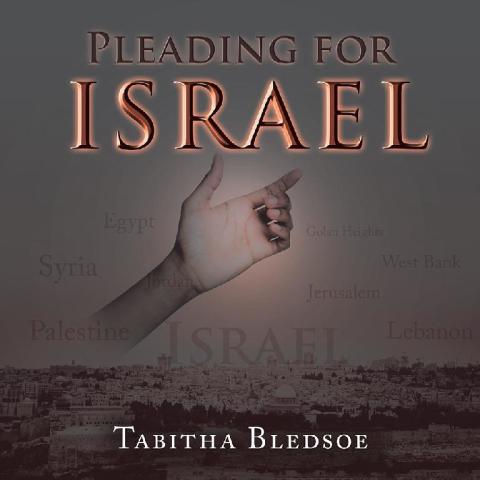 Cover image for book Pleading for Israel