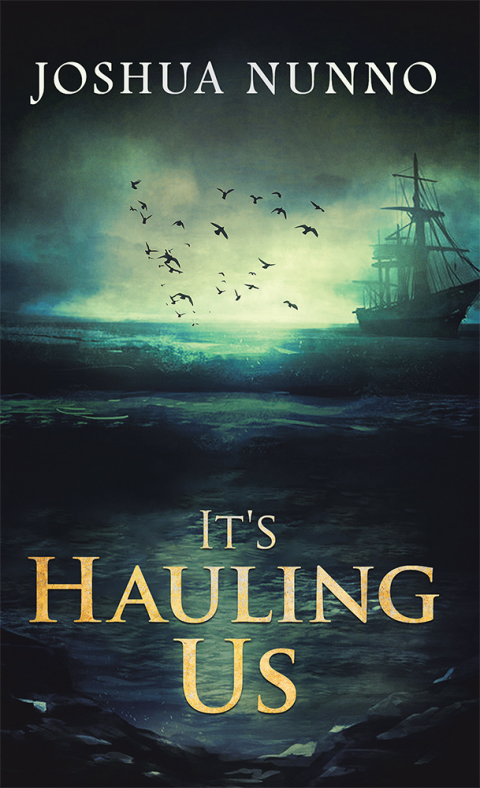 Cover image for book It’S Hauling Us