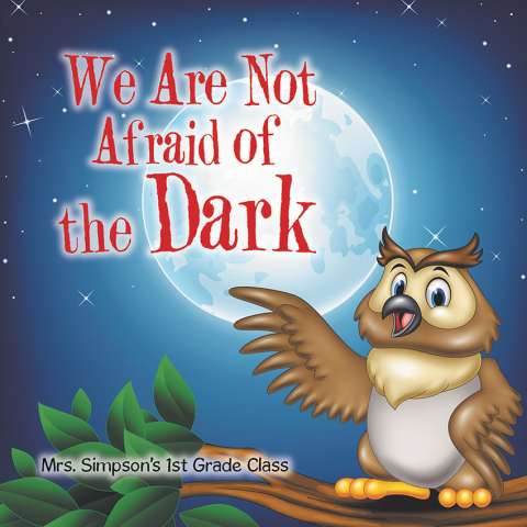 Cover image for book We Are Not Afraid of the Dark