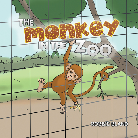 Cover image for book The Monkey in the Zoo