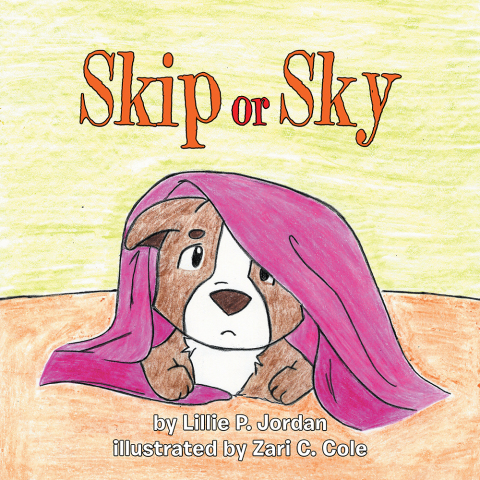 Cover image for book Skip or Sky