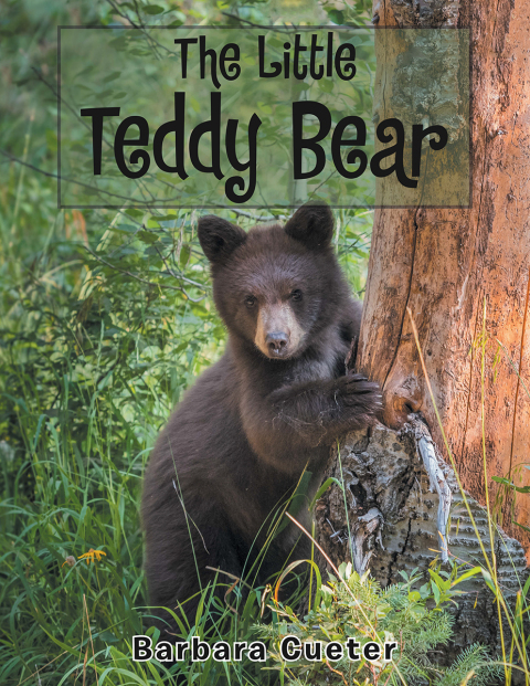Cover image for book The Little Teddy Bear