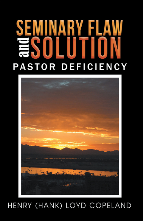 Cover image for book Seminary Flaw and Solution
